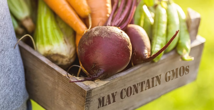 Stop Hidden GMOs Campaign